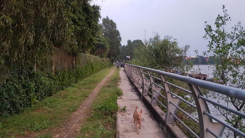 Kênh Nhiêu Lộc - Thị Nghè được cải tạo trong xanh.