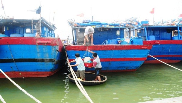 Ngư dân huyện Phú Vang (tỉnh TT- Huế) đưa tàu thuyền vào bờ tránh bão.