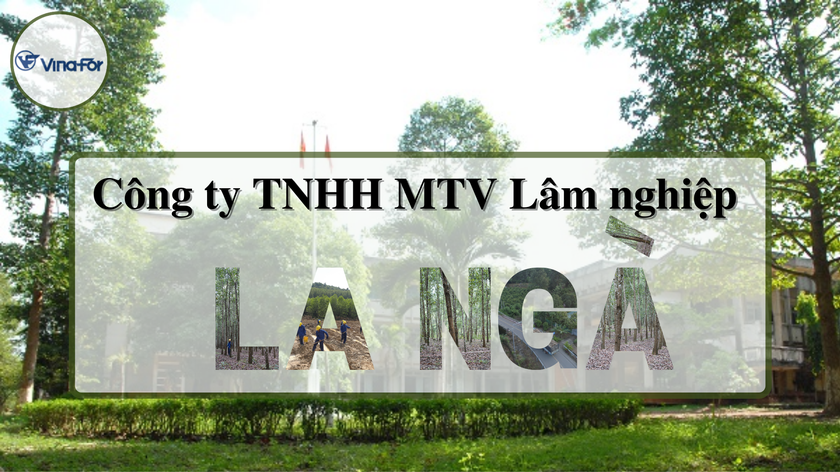 Công ty TNHH MTV Lâm nghiệp La Ngà: Đổi mới để phát triển bền vững môi trường rừng