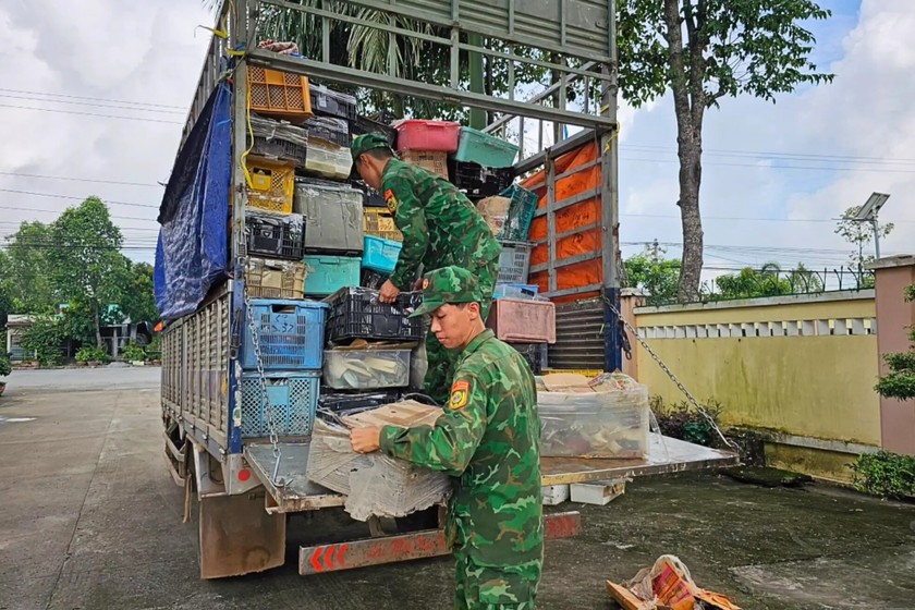 Lực lượng chức năng tiến hành tịch thu tang vật