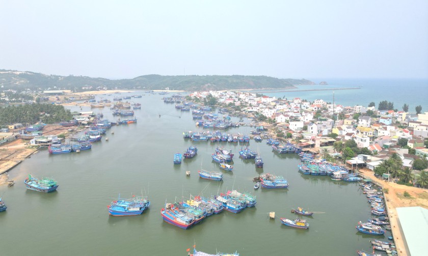 Bình Định hiện có 5.706 tàu cá có chiều dài 6m trở lên được cấp đăng ký tàu cá theo quy định.