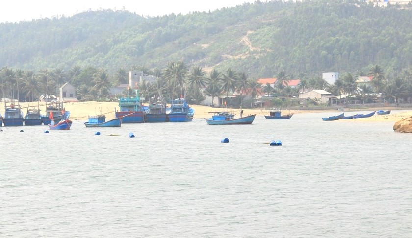 Cửa biển, luồng lạch vào cảng cá Tam Quan bị bồi lấp nghiêm trọng.
