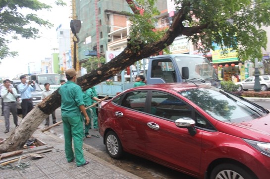 Đà Nẵng: Cây đè bẹp ô tô, người dân "nổi giận"