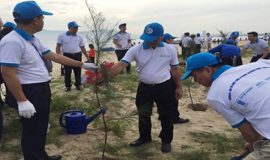 Chương trình Chung tay bảo vệ đại dương.