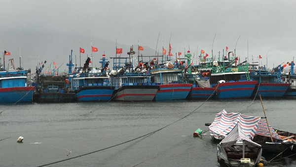 Tàu thuyền các tỉnh miền trung về neo đậu trú tránh bão ở âu thuyền Thọ Quang Đà Nẵng