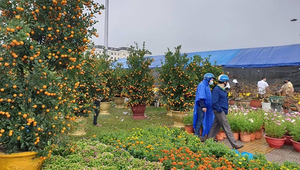 Chợ hoa Đà Nẵng ngày giáp Tết.