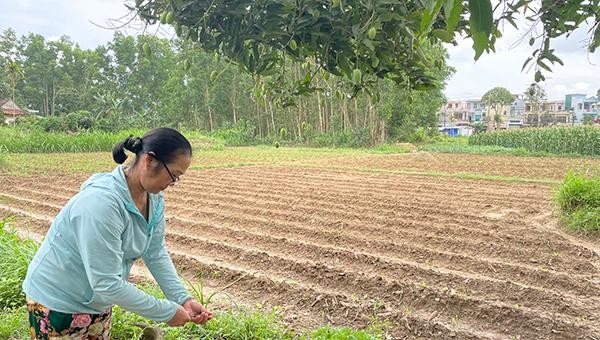 Khung giá đất năm 2021 được điều chỉnh tăng sẽ là nguyên nhân tăng giá đất bất động sản thời gian tới