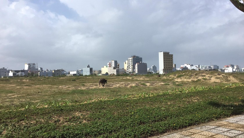 Khu đất "vàng" ven biển tổng diện tích 12,04 ha tranh chấp giữa 2 công ty về hợp đồng chuyển nhượng quyền sử dụng đất và bồi thường hợp đồng 