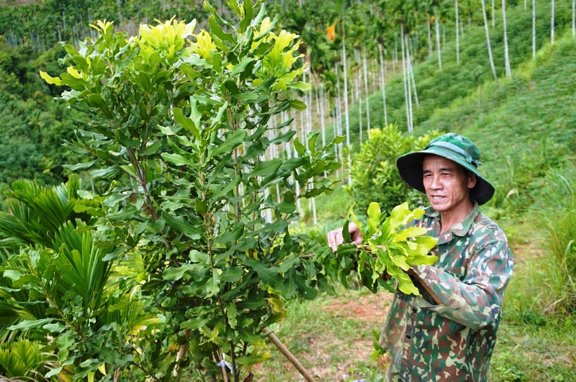 Người nông dân trông xen kẽ nhiều loại cây trồng phù hợp với khí hậu và thỗ nhưỡng địa phương.