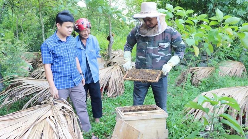 Mô hình nuôi ong lấy mật thực hiện tại xã Thượng Hóa (huyện Minh Hóa) đã mang lại kết quả bước đầu.