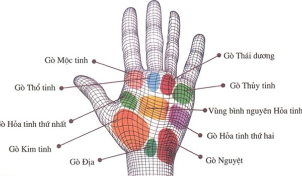 Bí ẩn vận thế con người qua đôi tay