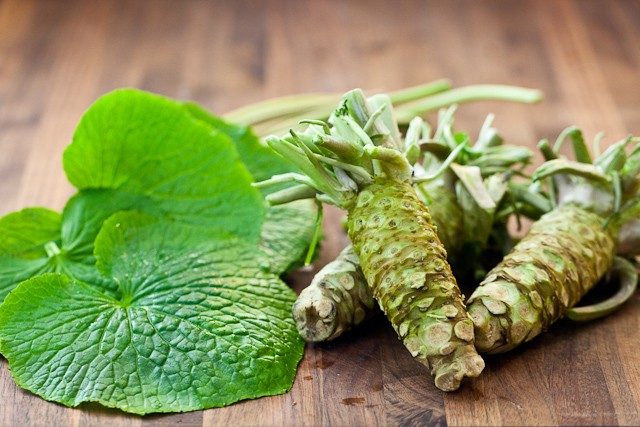 Bí mật về Wasabi chính hiệu- Loại rau củ đắt nhất thế giới