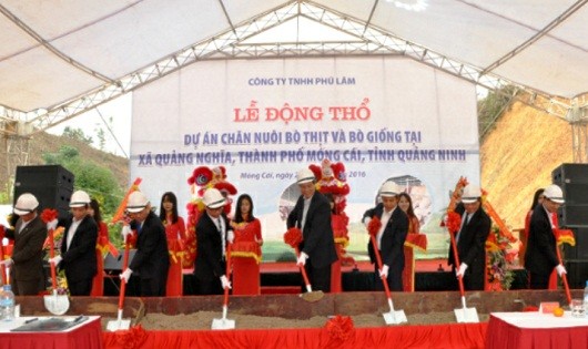 Quảng Ninh: Khởi công dự án chăn nuôi bò tại Móng Cái