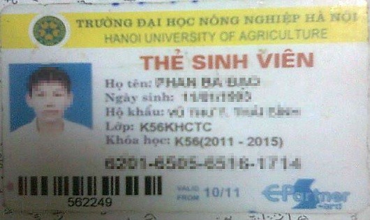 Ảnh minh họa từ internet.