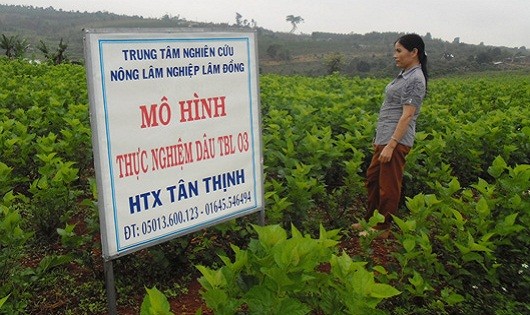 Ảnh minh họa từ internet.