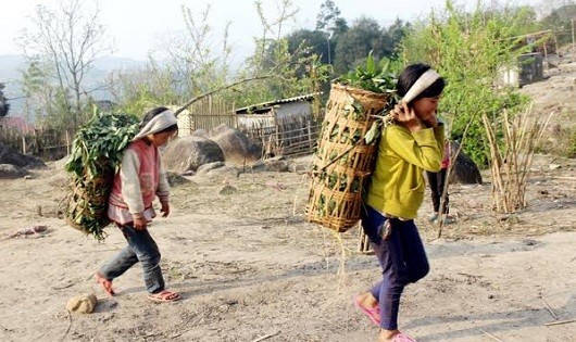 Mẹ bỏ đi, chị em Cao Thó De và Cao Thó Bia vất vả mưu sinh nuôi em ăn học. Ảnh Ngọc - Dung