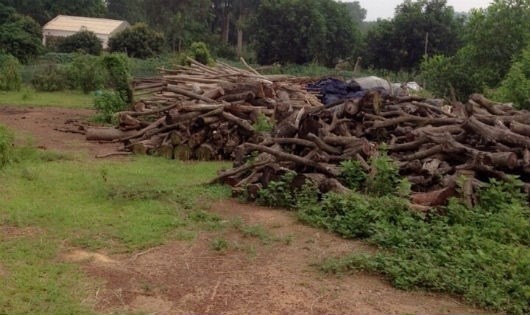 Dự án nghĩa trang Liên Đài Viên đang bị “dậm chân tại chỗ”.