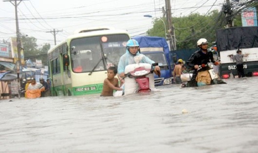 Ảnh minh họa từ internet.