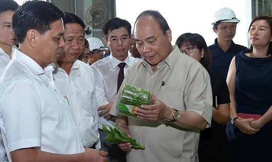 Thủ tướng Nguyễn Xuân Phúc thăm mô hình nông nghiệp công nghệ cao tại xã Tam Đa.