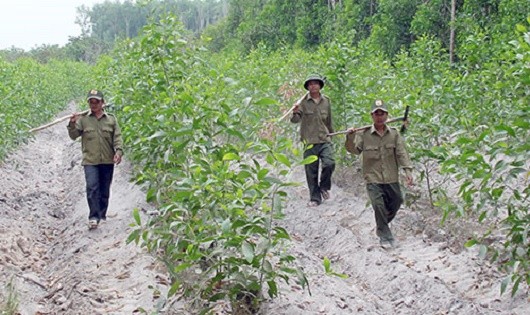 Ảnh minh họa từ internet.