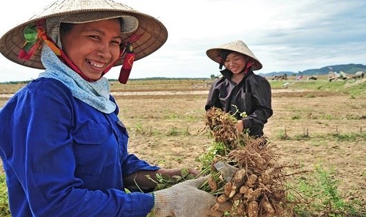 Còn nhiều yếu tố tác động tới quá trình chăm sóc thai sản của phụ nữ nông thôn (ảnh minh họa).