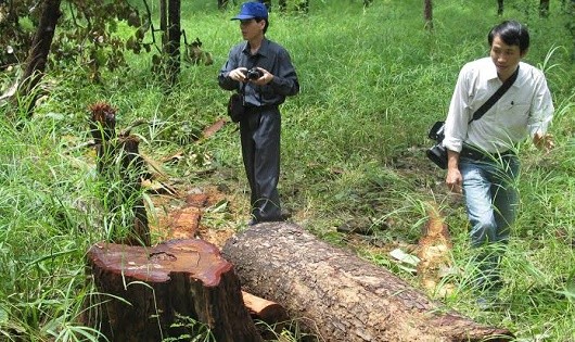 Ảnh minh họa.