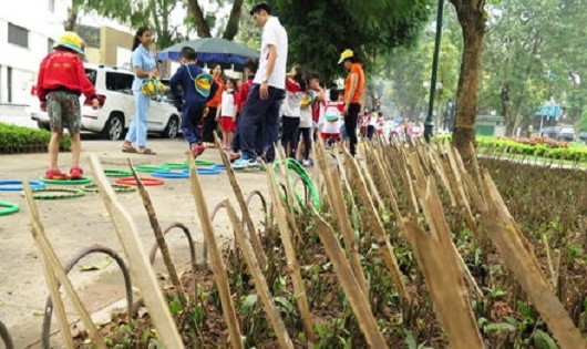 Chuyện quanh cái hàng rào ở thành phố