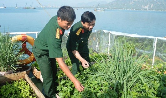 Trên tàu, cán bộ, chiến sĩ trồng đủ cả rau thơm, rau xanh các loại...