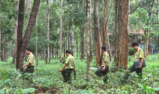 Ảnh minh họa