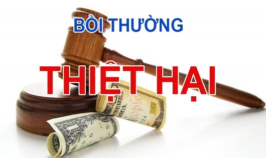 Đơn giản hóa thủ tục,  hồ sơ yêu cầu bồi thường