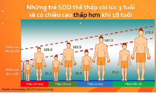 Bao giờ người Việt thoát lùn?