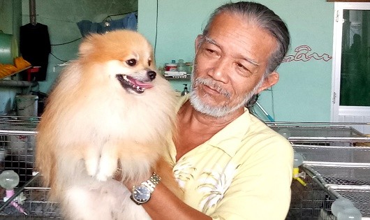 Từ năm 2007 ông Châu chính thức chuyển sang nuôi chó Phốc Sóc.
