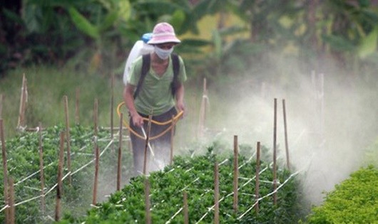 Việc gia tăng sử dụng hóa chất trong sản xuất và trong nông nghiệp cũng làm tăng số lượng NLĐ tiếp xúc bị tổn thương gây nguy hiểm sức khỏe.