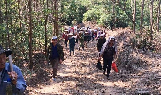 Người dân thôn Trấm cho rằng Công ty Toàn Thịnh đã tự ý làm đường, gây gãy cây trên đất có sổ đỏ của mình.