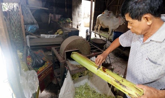 Gia đình ông Chau Sôm Hiệp (dân tộc Khmer, ở ấp An Hòa, xã Châu Lăng, huyện Tri Tôn , An Giang)