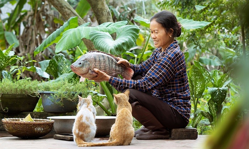 Ẩm Thực Mẹ Làm nhận được ủng hộ của cả khán giả trong nước và ngoài nước.