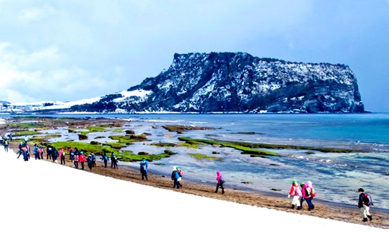 “Chạy đến Jeju”… trực tuyến.