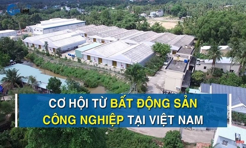 Nhiều “ông lớn” chuyển sang bất động sản công nghiệp hay năng lượng tái tạo