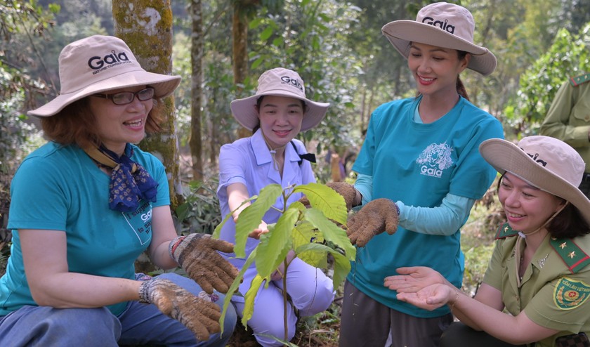 Hoa hậu H’Hen Niê kêu gọi trồng rừng