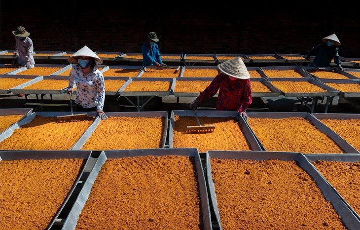 Nghề làm muối ớt Tây Ninh trở thành Di sản văn hóa phi vật thể quốc gia