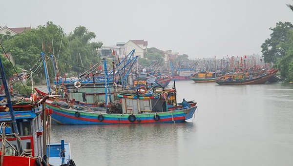 Các tàu thuyền vào nơi trú bão