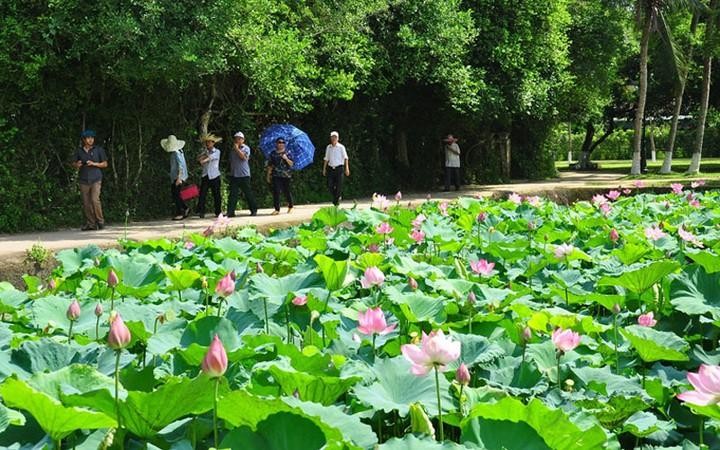 Khách đến tham quan làng Sen quê Bác