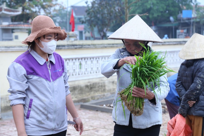 Phiên chợ đặc biệt với mặt hàng là những bó mạ