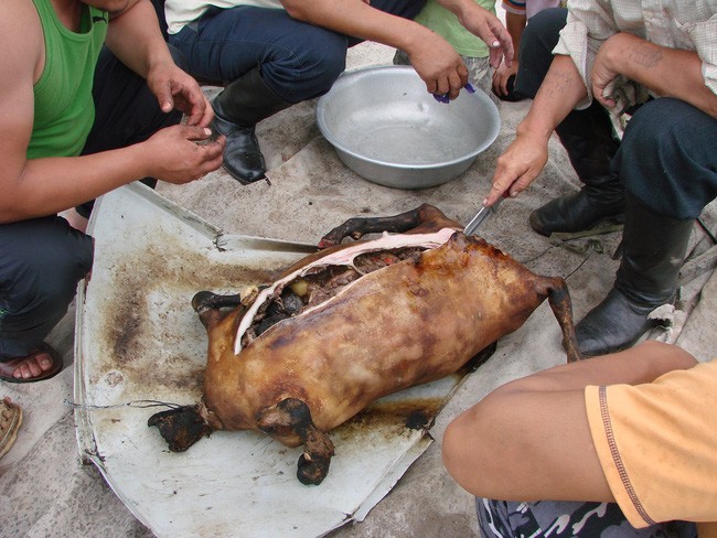 Đến Mông Cổ đừng bỏ lỡ “Boodog”