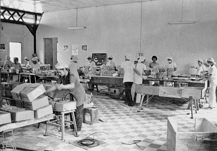 Nhà máy sản xuất bột ăn dặm Bích Chi những năm 1967-1975