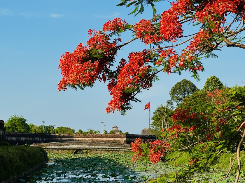 Phượng nhẹ nhàng nghiêng mình tạo dáng bên Kinh thành Huế.