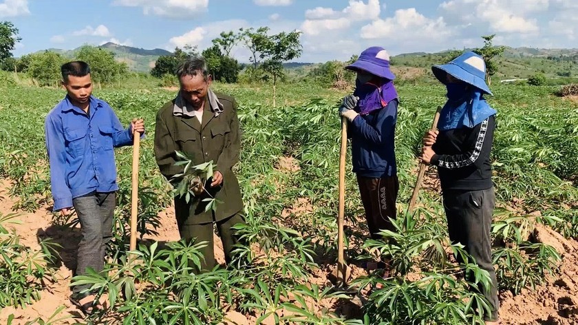 Người dân nỗ lực làm giàu từ nguồn quỹ đất được chính quyền giao.