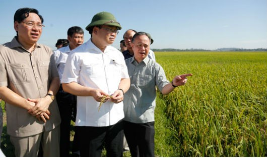 Bí thư Hoàng Trung Hải thăm và làm việc với huyện Chương Mỹ Hà Nội.