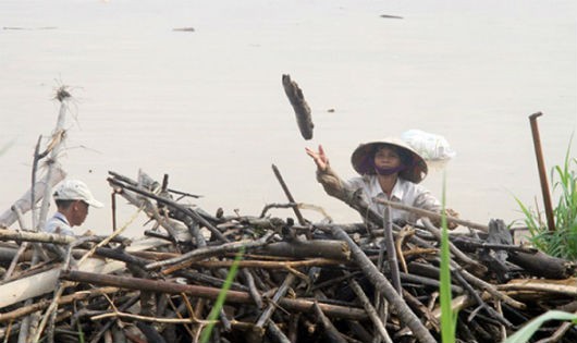 Người dân xã Tân Đức bất chấp nguy hiểm lao ra chèo thuyền ra vớt củi.