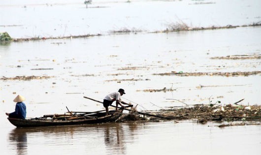 Người dân xã Tân Đức bất chấp nguy hiểm lao ra chèo thuyền ra vớt củi.